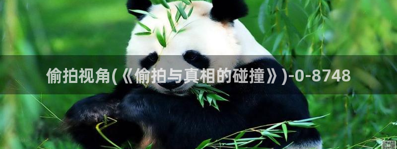 亚洲综合图片偷拍：偷拍视角(《偷拍与真相的碰撞》)