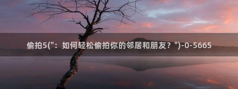 偷拍裸体图片：偷拍5(\