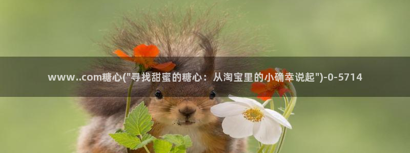 糖心txvlog.com