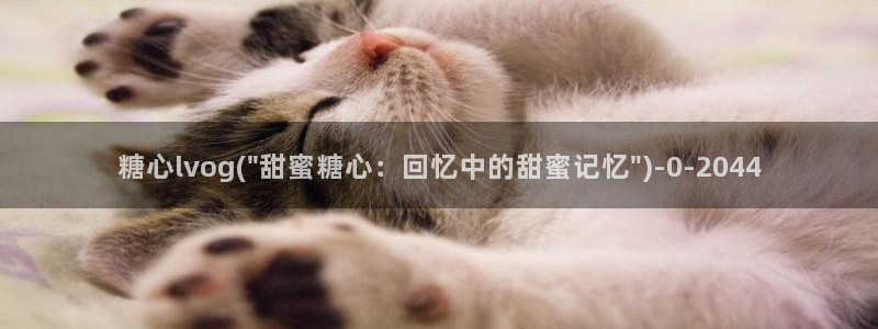 糖心vlog新官网版入口