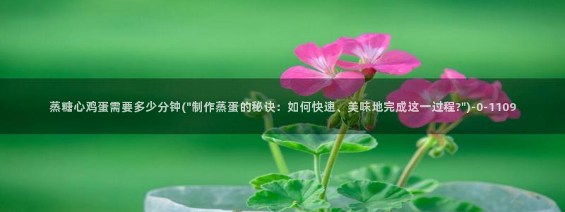 糖心vlog精品