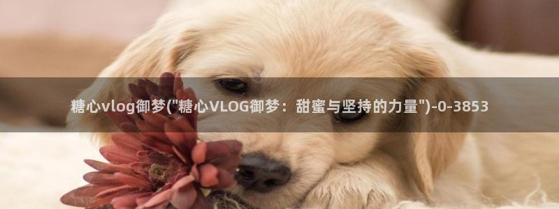 糖心vlog免费版观看