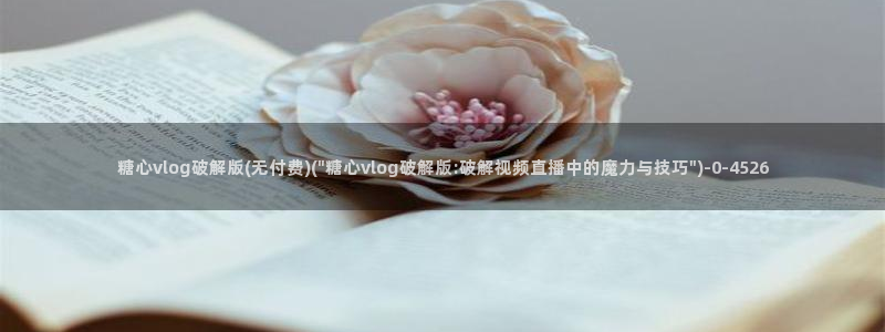 糖心vlog网站