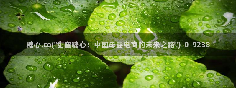 糖心vlog福利