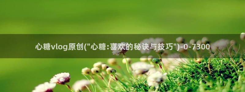 糖心vlog苹果轻量版