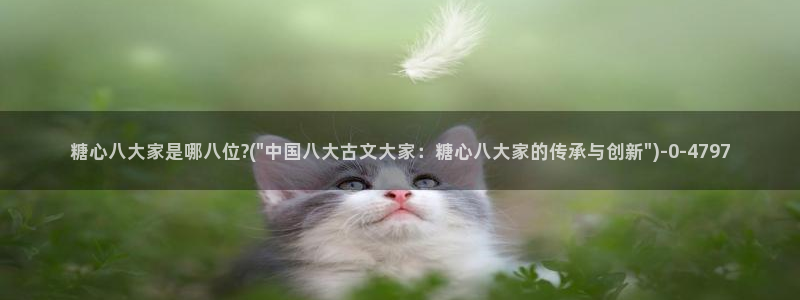 糖心vlog是干嘛的