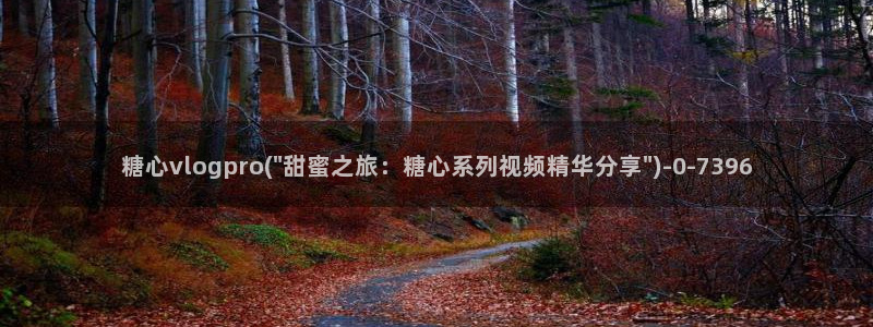 糖心vlog破解教程