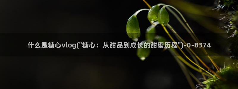 糖心vlog在线网址
