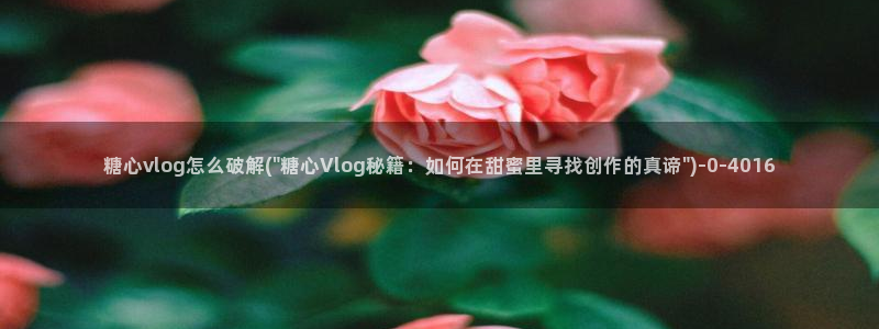 糖心vlog一区